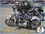 NHL THEME BIKE