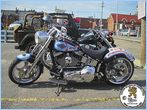 NHL THEME BIKE