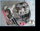CARLETON UNIVERSITY OTTAWA