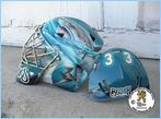 SAN JOSE SHARKS